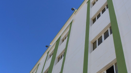 the-ever-green-by-al-souroh