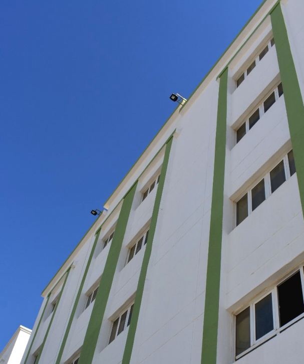 the-ever-green-by-al-souroh